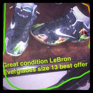 LeBron Everglades  size 13